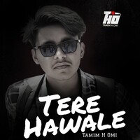 Tere Hawale