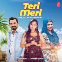 Teri Meri