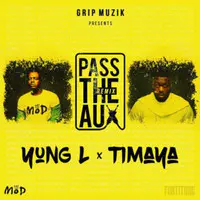 Pass the Aux (Remix)