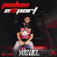 Palos eSport