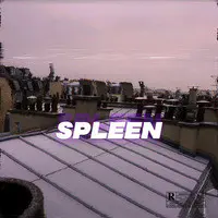 Spleen