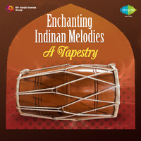 Enchanting Indinan Melodies - A Tapestry