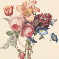 Floral Fm, Vol. 1