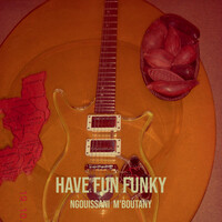 Have Fun Funky