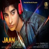 Jaan Meri