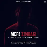 Meri Zindagi (A Tribute to Sushant Singh Rajput)