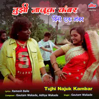 Tujhi Najuk Kambar