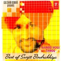 Wangg Hogi Tangg-Remix (H.o.surjit B)