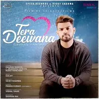 Tera Deewana