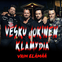 Olen suomalainen Song Download: Olen suomalainen MP3 Finnish Song Online  Free on 