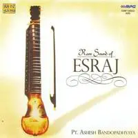 Rare Sound Of Esraj Pt Ashesh Bandopadhyay