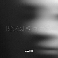 Kareeb