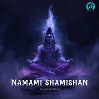 Namami Shamishan