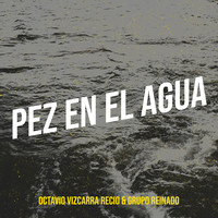 Pez En El Agua