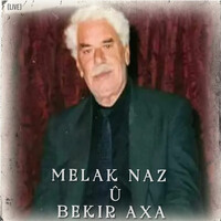 Melak Naz Û Bekir Axa (Live)