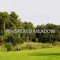 Whispered Meadow