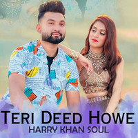 Teri Deed Howe