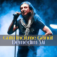 Gülü İncitme Gönül Demedim Mi