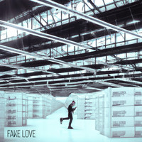 Fake Love