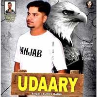 Udaary