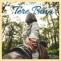 Tere Bina