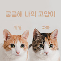 궁금해 나의 고양이 (Feat.카카, 짜짜)