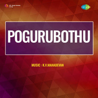 Pogurubothu