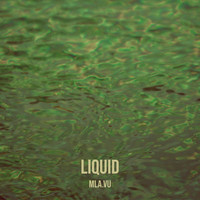 Liquid