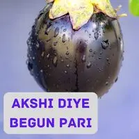 AKSHI DIYE BEGUN PARI