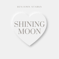 Shining Moon