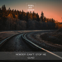 nobody can stop me mp3 download