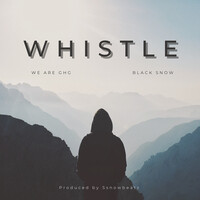 Whistle