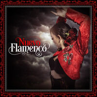 Nuevo Flamenco