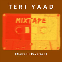 Teri Yaad (Slowed + Reverbed)