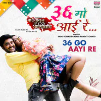 36 Go Aayi Re (From "Mai Babuji Ke Aashirwad")