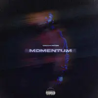 Momentum