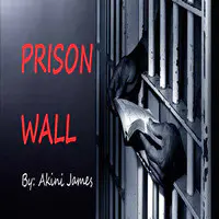 Prison Wall