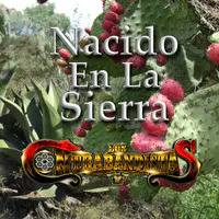 Nacido en la Sierra