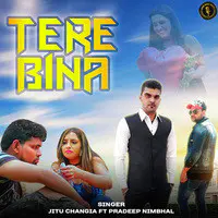 Tere Bina