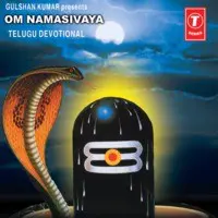 Om Namasivaya