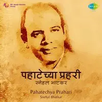 Pahatechya Prahari - Snehal Bhatkar