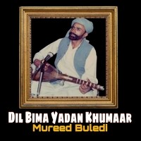 Dil Bima Yadan Khumaar