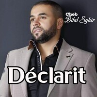 Déclarit