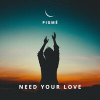 Need Your Love