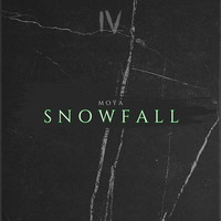 Snowfall