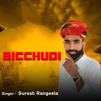 Bicchudi