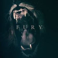 Fury