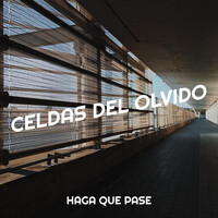 Celdas Del Olvido