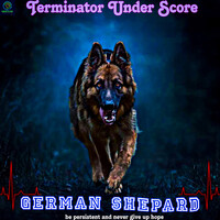 German Sheperd