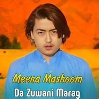 Da Zuwani Marag Pa Mazar Whrlara